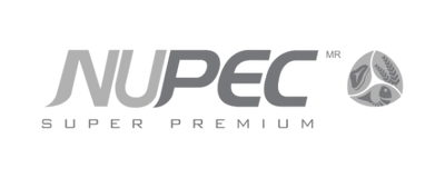 Nupec en Monterrey