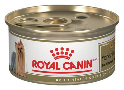 Royal Canin Yorkshire Terrier Adulto Lata – alimento húmedo para perro Royal Canin