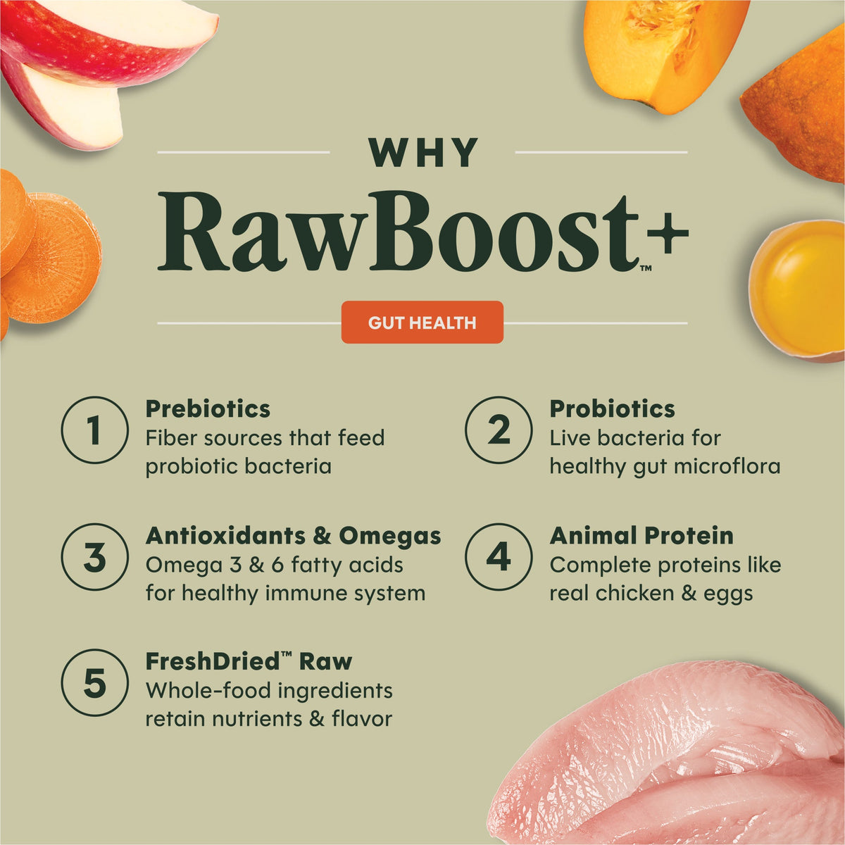 Instinct Raw Boost Whole Grain Salud Digestiva (Gut Health) Pollo para Perro – imagen 2