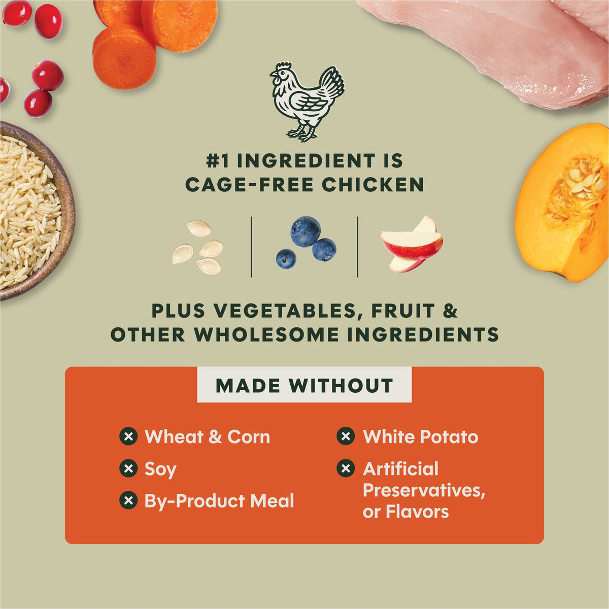 Instinct Raw Boost Whole Grain Salud Digestiva (Gut Health) Pollo para Perro – imagen 5