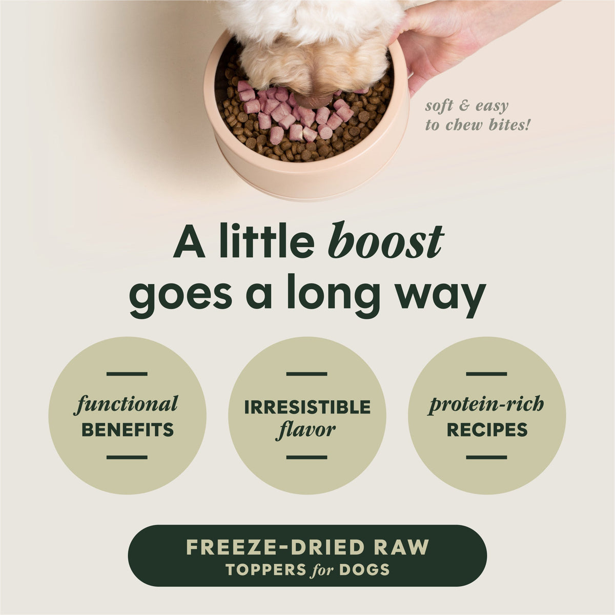 Instinct Raw Boost Mixers Piel y Pelaje (Skin & Coat) Topper Liofilizado para Perro – imagen 3