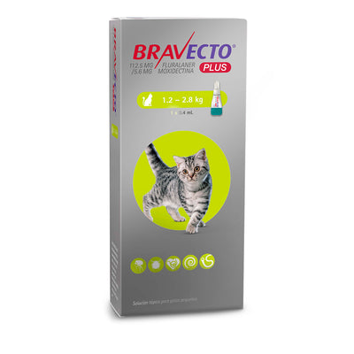 Bravecto Plus Gatos