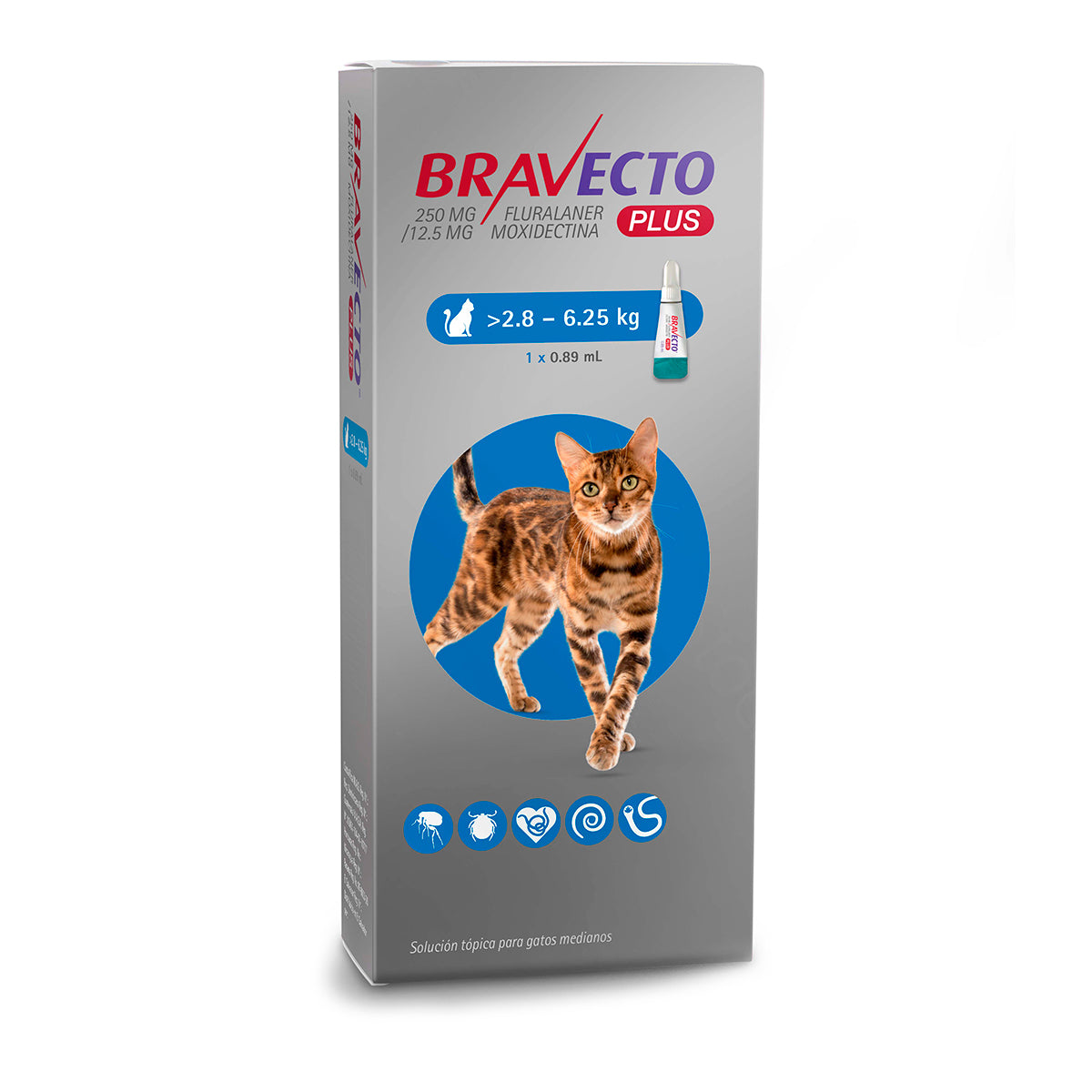 Bravecto Plus, desparasitante para gato de 2.8 a 6.25 kg, 1 pipeta (fluralaner y moxidectina) | NutriPets Monterrey
