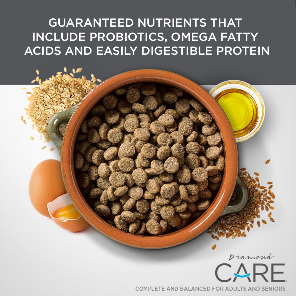 Diamond Care Rx Renal para perro adulto, croquetas para apoyo renal: croqueta e ingredientes | NutriPets Monterrey
