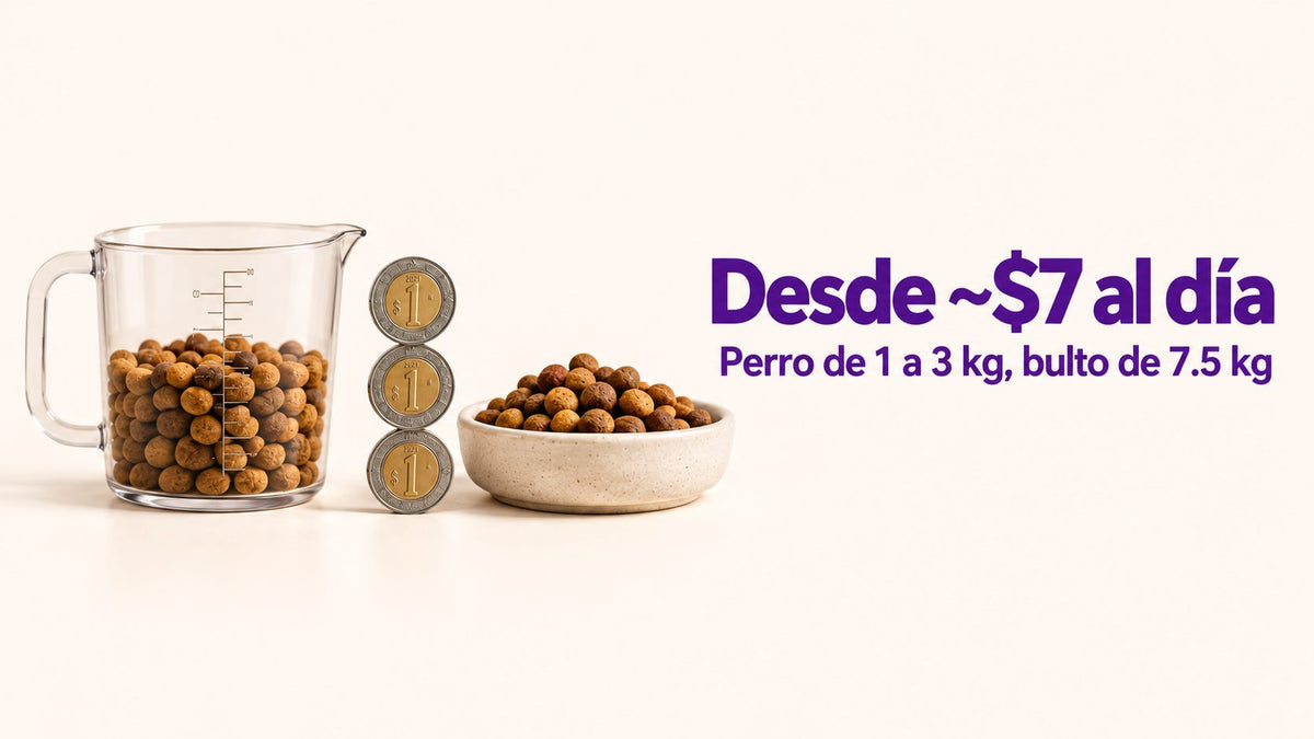 Pro Plan Adulto Razas Pequeñas cuesta desde unos $7 al día para un perro de 1 a 3 kg con el bulto de 7.5 kg