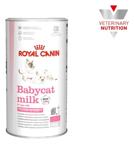 Royal Canin BabyCat Milk (sustituto de leche) – croquetas para gato Royal Canin