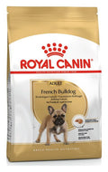 Royal Canin Bulldog Francés Adulto – croquetas para perro Royal Canin