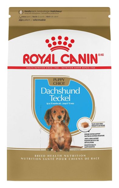 Royal Canin Dachshund Cachorro (importado) – croquetas para perro Royal Canin