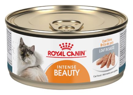 Royal Canin Hair & Skin Care Loaf in Sauce – alimento húmedo para gato Royal Canin