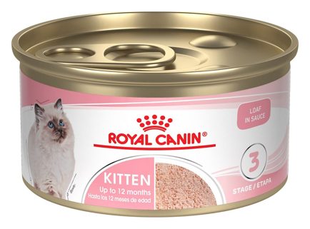 Royal Canin Kitten Loaf in Sauce – alimento húmedo para gato Royal Canin