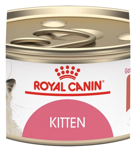 Royal Canin Kitten Thin Slices in Gravy – alimento húmedo para gato Royal Canin