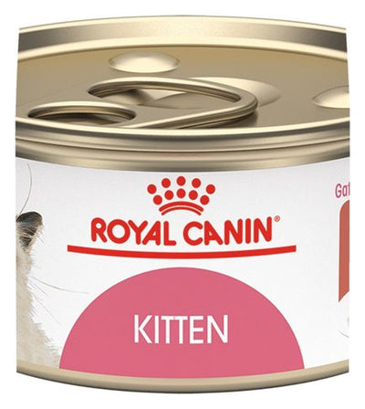 Royal Canin Kitten Thin Slices in Gravy – alimento húmedo para gato Royal Canin
