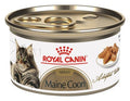Royal Canin Maine Coon Adulto Sobre – alimento húmedo para gato Royal Canin