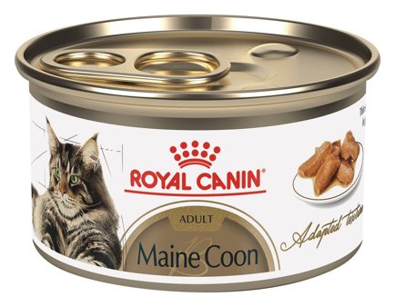 Royal Canin Maine Coon Adulto Sobre – alimento húmedo para gato Royal Canin
