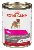 Royal Canin Puppy Loaf (pastel de carne) – alimento húmedo para perro Royal Canin