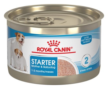 Royal Canin Starter Mother & Babydog Mousse – alimento húmedo para perro Royal Canin