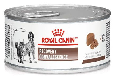 Royal Canin Veterinary Diet Recovery Lata (gato) – alimento húmedo para gato Royal Canin