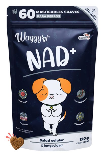 Waggy's NAD+ Longevidad Senior – suplemento para perro Waggy's